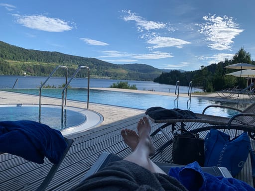 Aussicht vom Hotelpool auf den Titisee.